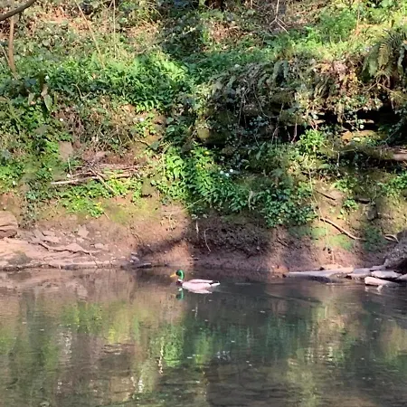 1 Bedroom 1 Bed Retreat With Hot Tub In Hambrook Close To Centre, Mod, Axa, Uwe