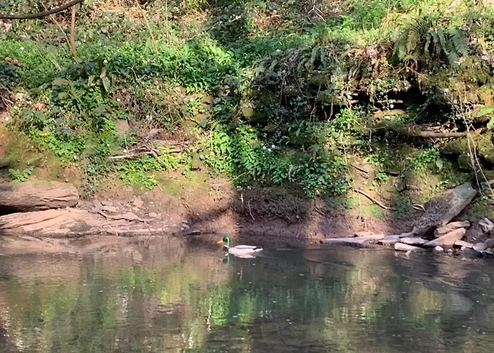 1 Bedroom 1 Bed Retreat With Hot Tub In Hambrook Close To Centre, Mod, Axa, Uwe