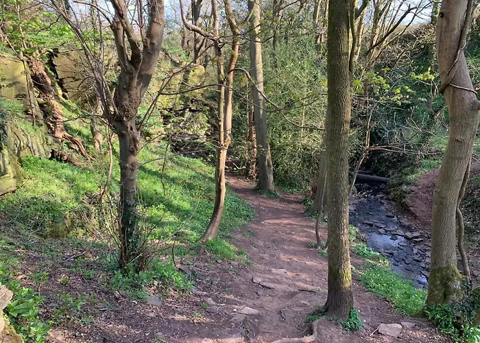 1 Bedroom 1 Bed Retreat With Hot Tub In Hambrook Close To Centre, Mod, Axa, Uwe Casa vacanze